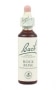 Bach Original Flower Remedies 20ml - Rock Rose