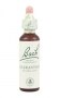 Bach Original Flower Remedies 20ml - Scleranthus