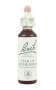 Bach Original Flower Remedies 20ml - Star of Bethlehem