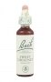Bach Original Flower Remedies 20ml - Sweet Chestnut