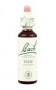 Bach Original Flower Remedies 20ml - Vine