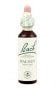 Bach Original Flower Remedies 20ml - Walnut