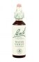 Bach Original Flower Remedies 20ml - Water Violet