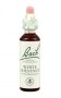 Bach Original Flower Remedies 20ml - White Chestnut