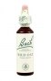 Bach Original Flower Remedies 20ml - Wild Oat