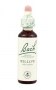Bach Original Flower Remedies 20ml - Willow