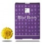 New Nordic Blue Berry Eyebright 60 Tablets