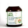 Wise Owl Co Q10 with Kelp 60 Tablets