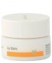 Dr. Hauschka Lip Balm 4.2g