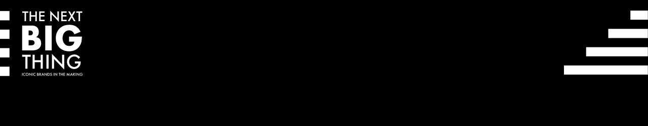 The Next Big Thing Banner