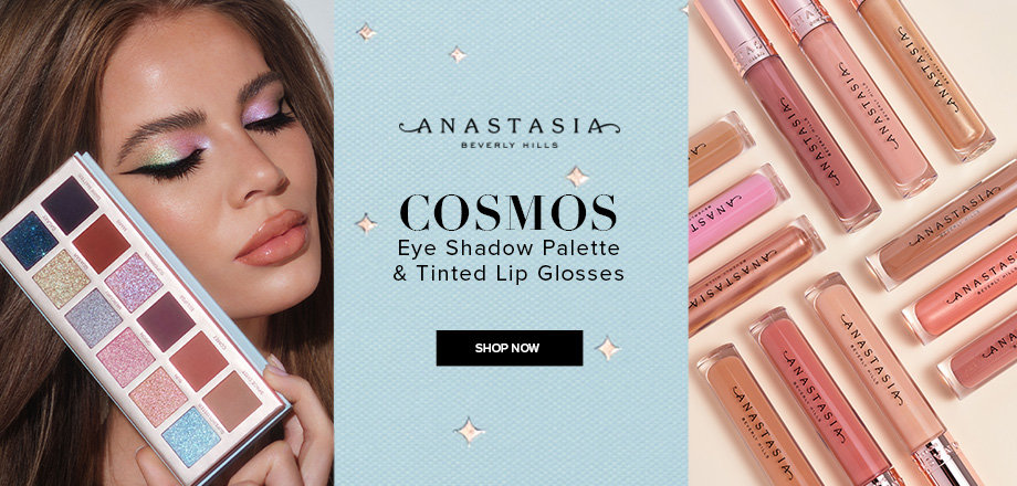 Anastasia Beverly Hills Banner