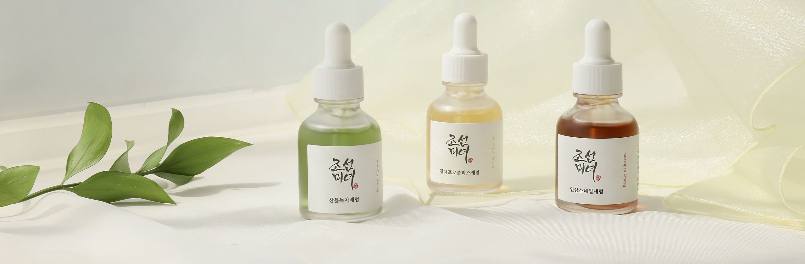 Beauty of Joseon Banner