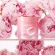 Bouncy & Firm Sleeping Mask