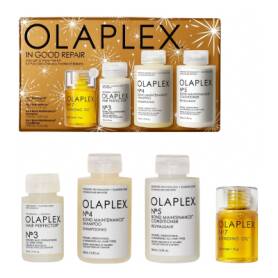 In Good Repair Hair Kit