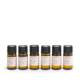 Essential Oil Blend Scent Discovery
