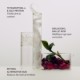 The Silk Serum
