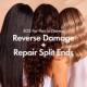 Rapid Repair Finishing Oil