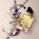 Libre EDP 50ml Spring
