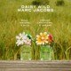 Daisy Wild Eau So Intense Eau de Parfum
