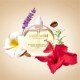 Champi Hair Oil