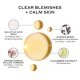Detox Drops 2%  Salicylic Acid Toner