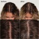 Style + Treat Dry Shampoo Puff - Universal For All Hair Colours