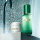 The Balancing Treatment Lotion