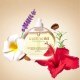 Champi Hair Oil
