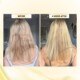Champi Hair Oil