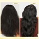 Champi Bond Repair Shampoo