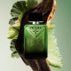 Paradigme Eau de Parfum Set