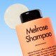 Melrose Shampoo - For Fine and Oily Hair