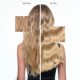 Blond Absolu Blonde Guard Spray