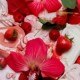 Berry Cream Hair and Body Fragrance Mist Travel Size