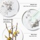 Clarifying Lotion 1 Refill