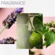 Hydrate Hair Treatment Mask - Deep Conditioning Hair Mask for Dry Hair