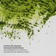 The Matcha Foam Cleanse