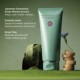 The Matcha Foam Cleanse