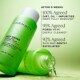 Deep Sweep 2% BHA Pore Cleaning Toner with Moringa + Papaya