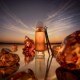AMBRE ANIMAL - Eau de Parfum