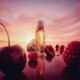 LADY IN ROUGE - Eau de Parfum