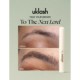 The Big Brow Edit