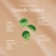 CabanaClear Illuminating
