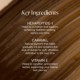 Lash Lift Gel