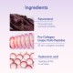 Resveratrol-Lift Retinol Alternative Firming Cashmere Moisturiser Refill