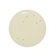 Vitamin C Ester Citrus Brightening Cleanser