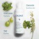 Vinoclean Gentle Foam Cleanser