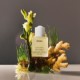 Scalp Serum