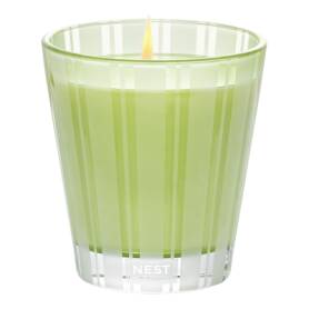 Lime Zest & Matcha Classic Candle