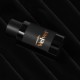 Velvet+ Bold Eau de Parfum